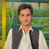 hassanparacha61