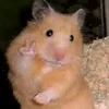 ka_ti_nacii