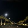s_alji
