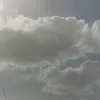 _mklg_1