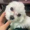 darian_0126