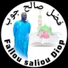 fallousalioudiopkb