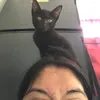 elora_ayl