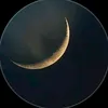msj_14__oo