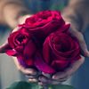 sadeem2244