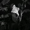 razanasker0
