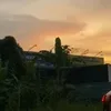 z_zeyki