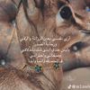 user4092235639962