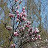useranna_2003