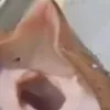 solnakid