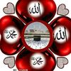 elhamsaeed949