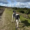 sarah_runs_with_maggie