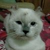linanaz00