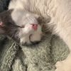 2needlesandaballofyarn