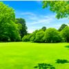 green.bb1