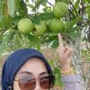 applehijau870