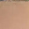 alejandra.sofia.com
