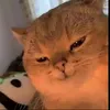 userqmfki85dbp