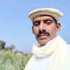 farooqshah6495