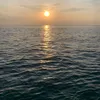 huynhson052