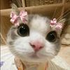 qisty_winani