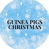 my_guinea_pigs7