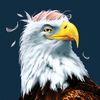 canadianbaldeagle89