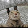 adel_7234