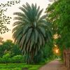_ahmed_mohamed88_