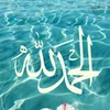 saadabuali26