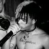 lilpuum0