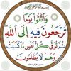 hafsatlawan18
