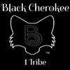 blackcherokee1tribe