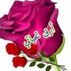 user95658092285442
