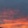 no_one_12299238