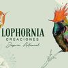 lophorniamacrame