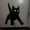 bub_finkle