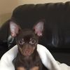 mimi.lily9