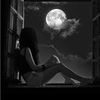 vane_h502