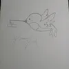hummingbird_909