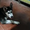 aritoo_25