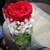 alwa55a