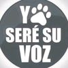 jesuannyizea