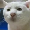 im_ooooooooooo