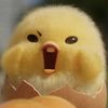 jessl_in