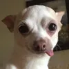 vinhmy28