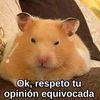 ciendecilantro9587