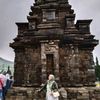 aniharyani72