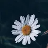 thanhnga2202199