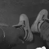 rxngerpreto